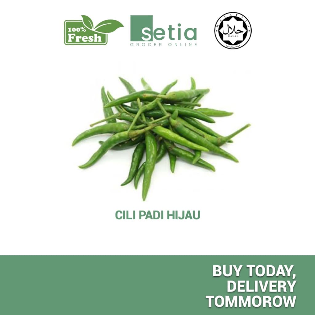 CILI PADI HIJAU